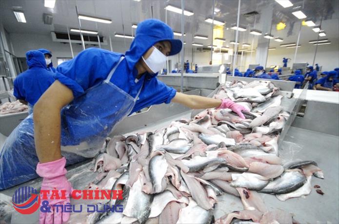 Cá tra Việt Nam còn nhiều dư địa trên thị trường Mỹ