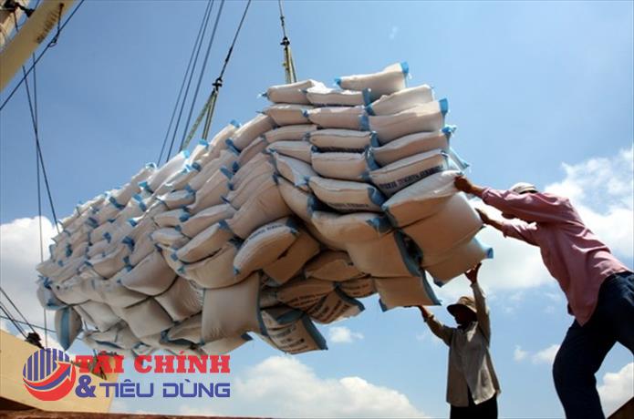 Nỗi lo khi giá lúa gạo tăng quá cao