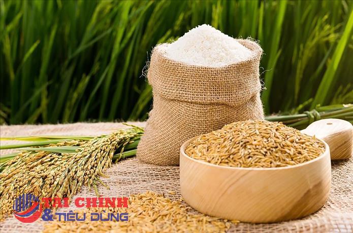 Giá lúa gạo hôm nay 19/12: Các mặt hàng ổn định