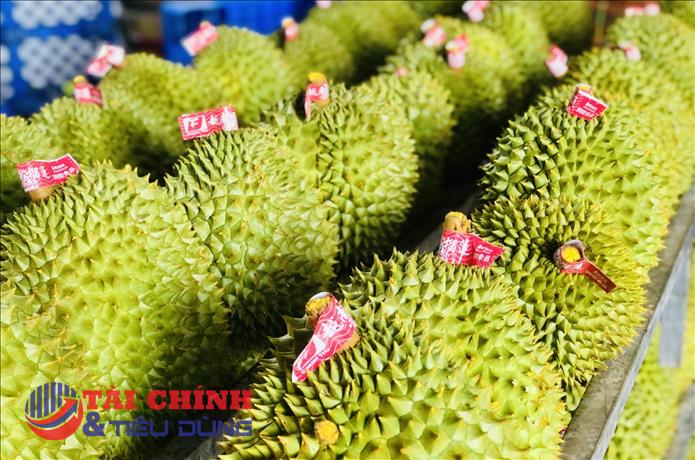 'Vua trái cây' sầu riêng, cạnh tranh bằng chất lượng chứ không chạy theo số lượng