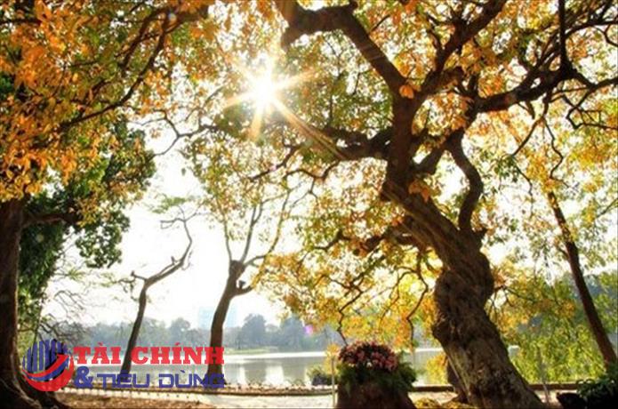 Dự báo thời tiết ngày 5/2: Cả nước có nắng ấm