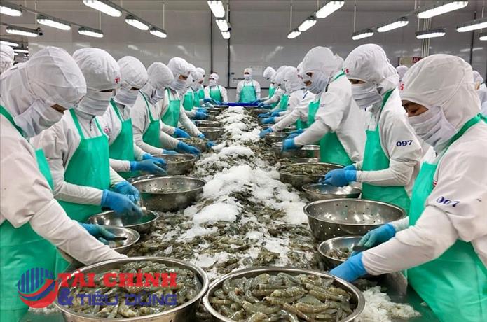 Xuất khẩu thủy sản nhiều khả năng sẽ tăng trở lại trong năm 2024