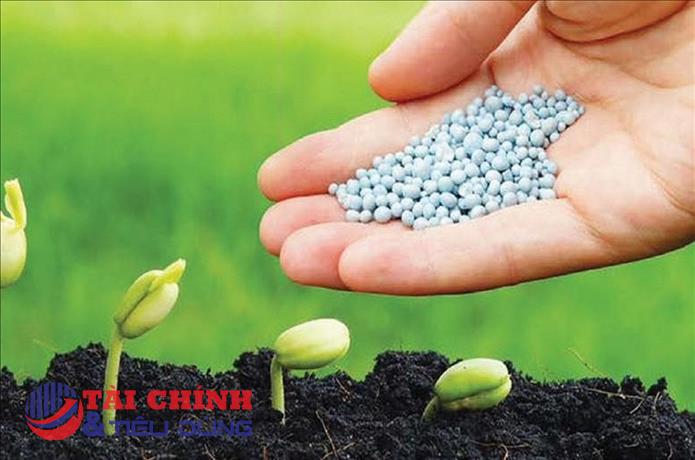 Giá phân bón hôm nay 27/2: Phân DAP có giá cao nhất