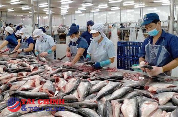 VASEP kiến nghị xem xét giữ nguyên thuế suất 0% cho dịch vụ xuất khẩu
