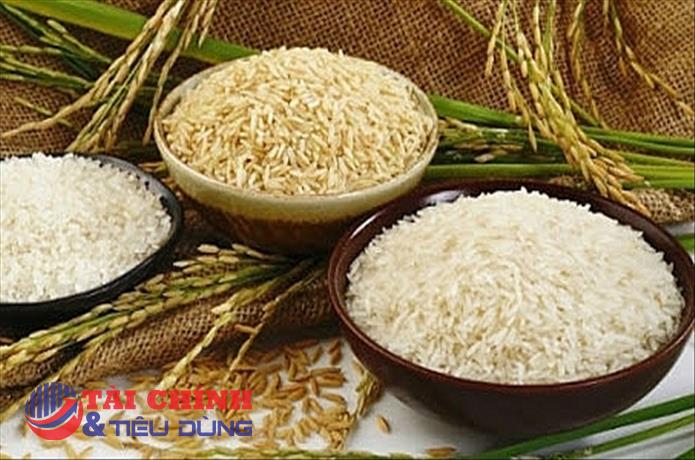 Giá lúa gạo hôm nay 5/4: Thị trường nội địa điều chỉnh tăng nhẹ