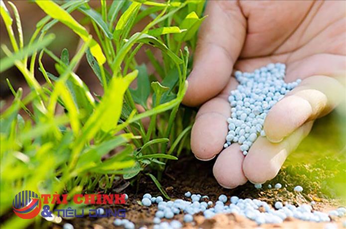 Giá phân bón hôm nay 8/4: Phân NPK có giá cao nhất khu vực Tây Nam Bộ