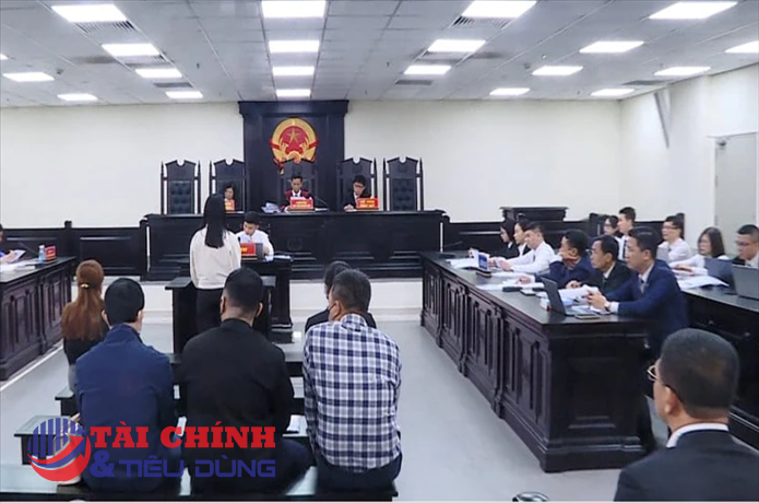 Vụ đấu giá đất Cổ Dương: Hoãn phiên tòa vì bà Loan 'kêu oan', không có quyền điều hành các công ty tham gia đấu giá