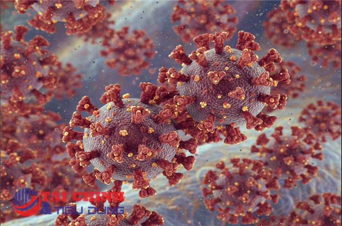 Biến thể virut cúm ‘nhánh phụ K’  đang bùng phát, cảnh báo một mùa cúm phức tạp