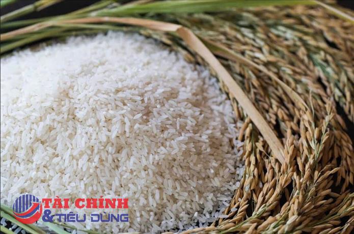 Giá lúa gạo hôm nay 16/1: Gạo xuất khẩu tăng nhẹ