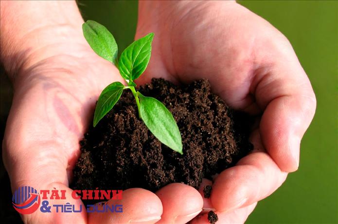 Rủi ro chính sách toàn cầu và triển vọng phân hóa của ngành phân bón