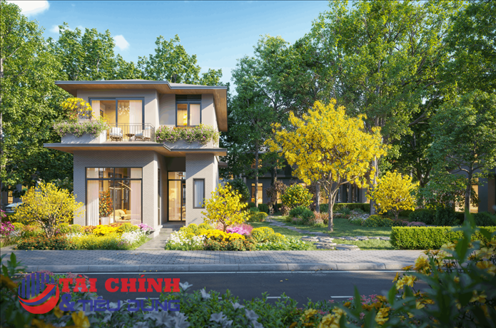 Rừng Mai: Mảnh ghép đầu tiên mở ra Mùa Lễ Hội tại Eco Retreat