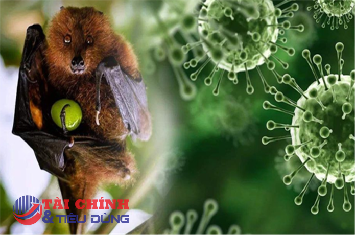 Bệnh do vi rút Nipah có tỷ lệ tử vong lên đến 75%, chưa có vắc xin và thuốc điều trị