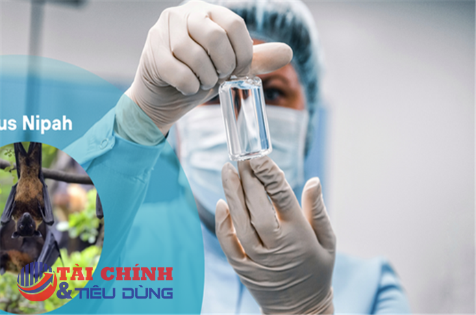 Chủ động từ sớm để bảo vệ “phòng tuyến y tế” trước nguy cơ vi rút Nipah