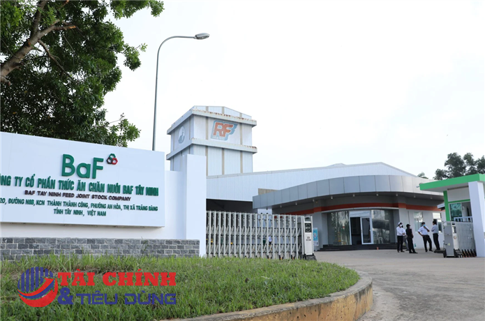 BAF mở rộng mạnh chăn nuôi năm 2025, lỗ quý 4 do giá heo thấp và chi phí tăng cao