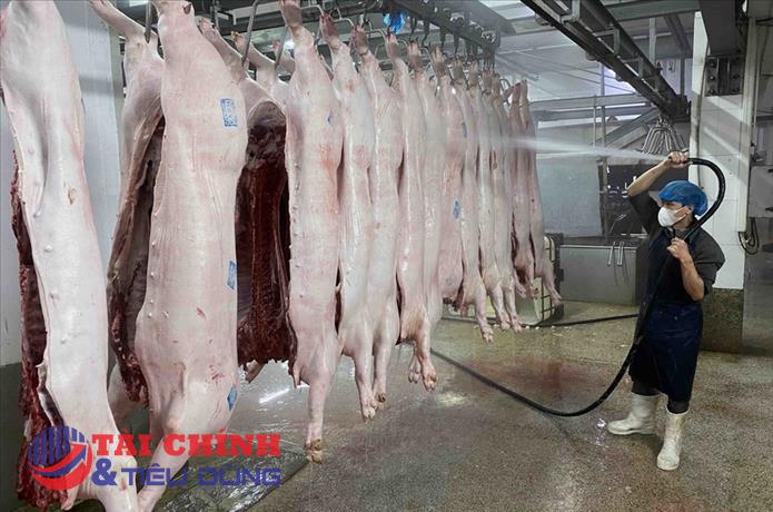 Tây Ninh: Siết chặt kiểm dịch, giết mổ động vật dịp Tết và Lễ hội Xuân 2026