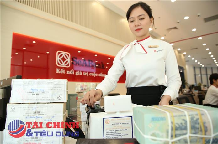 Những dấu ấn phát triển của SeABank năm 2025