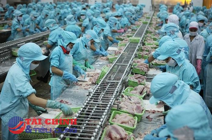 Thủy sản số 4 (TS4) bị hủy tư cách công ty đại chúng