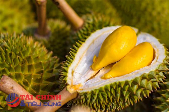 Giá sầu riêng hôm nay 8/2: Cận Tết neo cao, nguồn hàng trái vụ khan hiếm