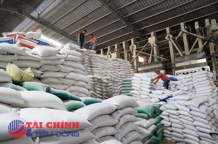 Xuất khẩu gạo giảm sâu, lợi nhuận doanh nghiệp niêm yết đảo chiều nhờ tái cấu trúc và kiểm soát chi phí