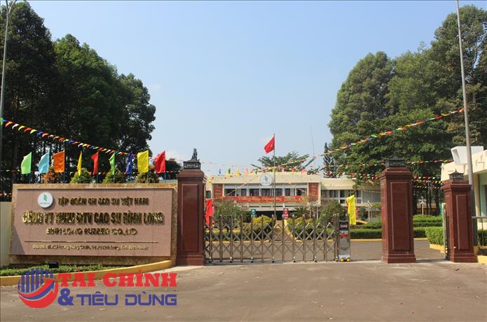 MH3 bị phạt 360 triệu đồng vì xả thải vượt chuẩn, cổ phiếu giảm mạnh