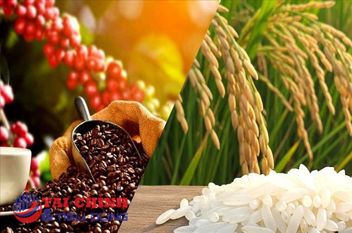 Giá nông sản hôm nay 6/3: Cà phê và hồ tiêu đồng loạt tăng, gạo ổn định, sầu riêng giữ giá cao