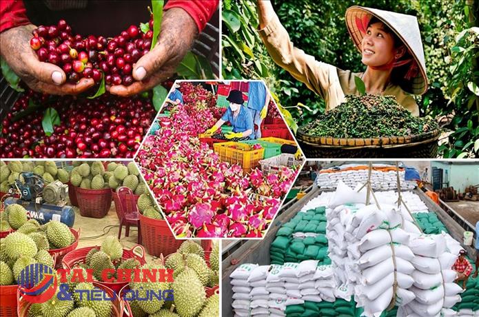 Giá nông, lâm sản hôm nay 7/3: Hồ tiêu và cà phê tăng mạnh, sầu riêng Ri6 giảm giá