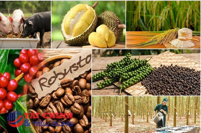 Giá nông sản hôm nay 9/3: Cà phê tăng mạnh, hồ tiêu nhích lên; lúa gạo ổn định