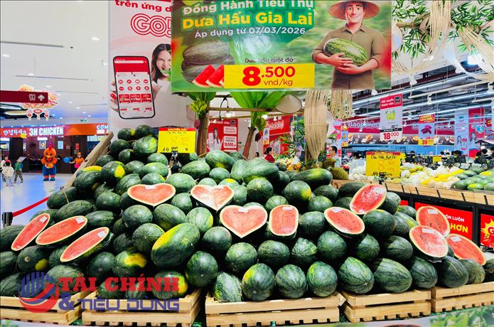 Doanh nghiệp bán lẻ tham gia hỗ trợ tiêu thụ dưa hấu Gia Lai