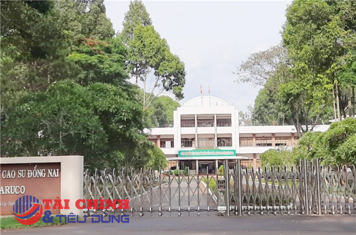 Thanh tra Chính phủ chỉ ra nhiều sai phạm tài chính tại Tổng công ty Cao su Đồng Nai