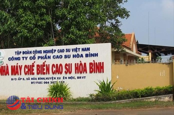 Cổ phiếu HRC tăng dựng đứng, doanh nghiệp nói gì về chuỗi tăng trần bất thường?