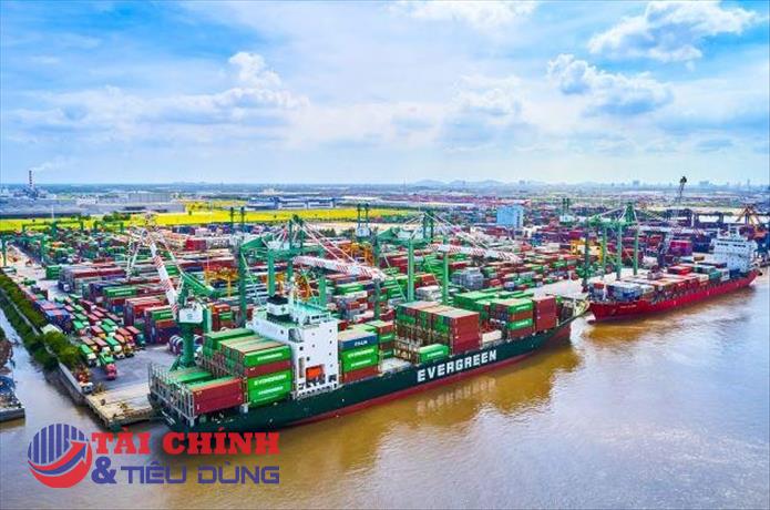 Viconship (VSC) sắp họp cổ đông 2026, giải tỏa hơn 12,7 triệu cổ phiếu ESOP