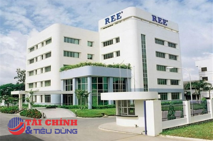 Sau năm lãi hơn 3.100 tỷ đồng, REE dự kiến chia cổ tức 25% cho cổ đông