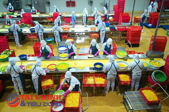 Rau quả Việt trước “cơn bão” chi phí và logistics