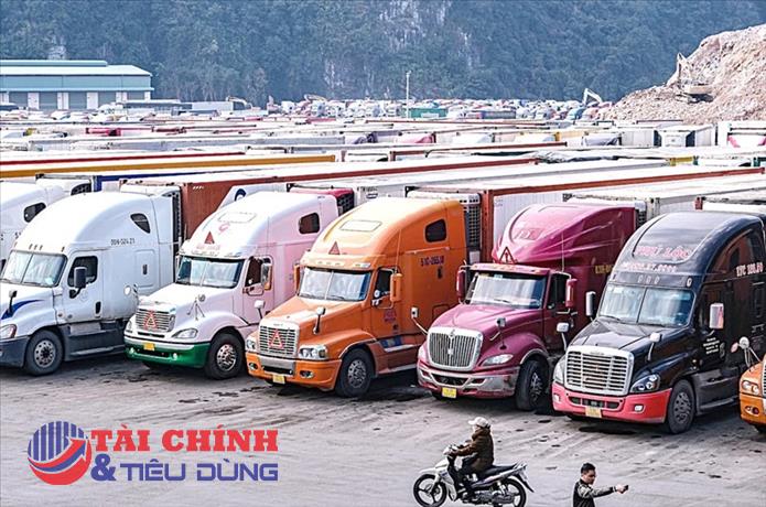 Kéo dài thời hạn tạm ngưng Nghị định 46 về an toàn thực phẩm