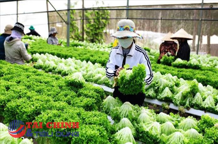 Lâm Đồng: Siết chặt kiểm nghiệm thực phẩm, nâng “lá chắn” an toàn nông sản