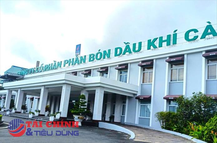 Đạm Cà Mau (DCM) đặt kế hoạch lợi nhuận 2026 giảm mạnh, dự kiến hạ cổ tức còn 10%