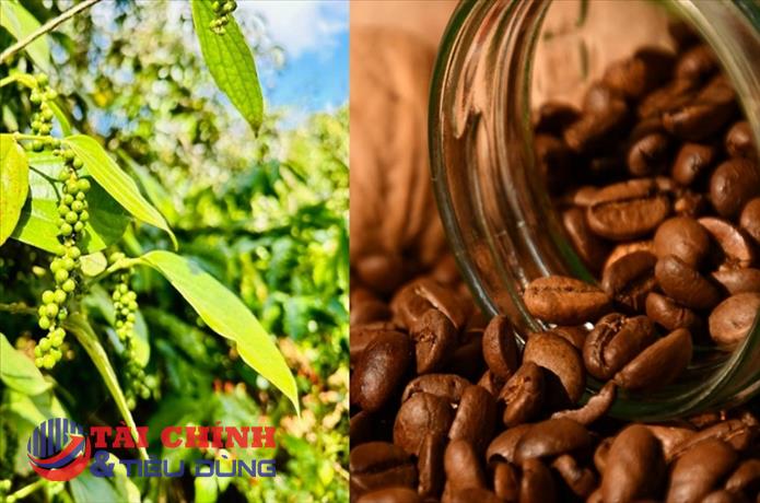 Giá nông sản hôm nay 27/3: Cà phê giảm, tiêu đi ngang, gạo biến động nhẹ