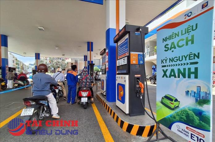 Chuyện Xăng E10: Hình dáng cây tre Việt Nam