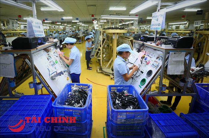 Làn sóng đầu tư trở lại, doanh nghiệp tư nhân tăng tốc mở rộng quy mô sau giai đoạn trầm lắng