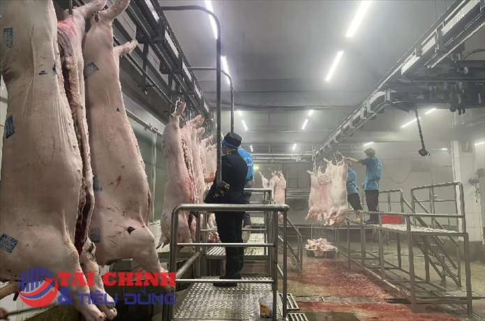 Chấn chỉnh công tác kiểm dịch của lực lượng thú y