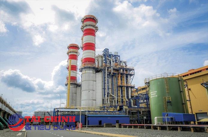 Lý do Hoá chất Đức Giang (DGC) không thể nộp báo cáo kiểm toán đúng hạn