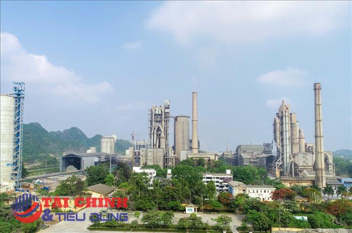 Xi măng Bỉm Sơn (BCC) bị xử phạt gần 2,2 tỷ đồng do vi phạm thuế, hóa đơn