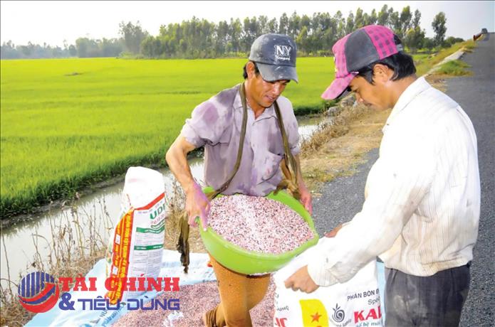 Siết bình ổn giá phân bón, giảm áp lực chi phí đầu vào cho nông nghiệp
