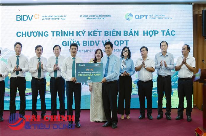 BIDV hợp tác cùng QPT trồng 240.000 cây xanh