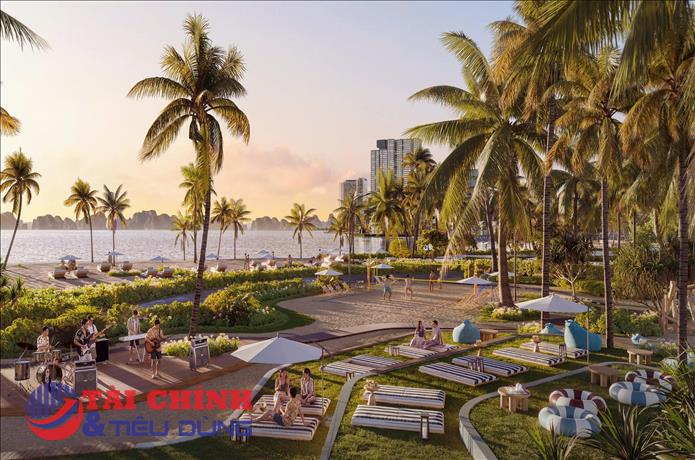 The Spotlight Collection: Khi vị thế “tâm điểm” khơi mở giá trị đầu tư bền vững