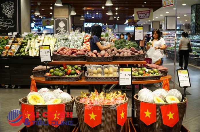 Đẩy mạnh phát triển các kênh phân phối hàng Việt Nam ở nước ngoài 