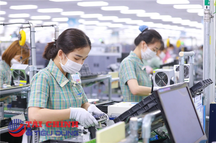 Số doanh nghiệp mới thành lập tăng cao, nhưng “tỷ lệ đào thải” vẫn ở mức lớn