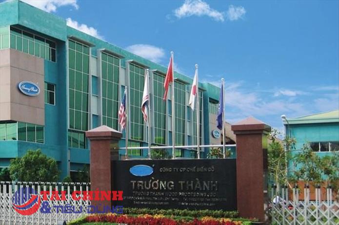 Gỗ Trường Thành (TTF) đặt mục tiêu lãi 50 tỷ đồng năm 2026, tiếp tục không chia cổ tức