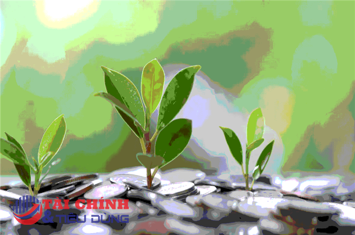 Loạt doanh nghiệp dồn dập chốt quyền chia cổ tức tuần tới, cao nhất 130%