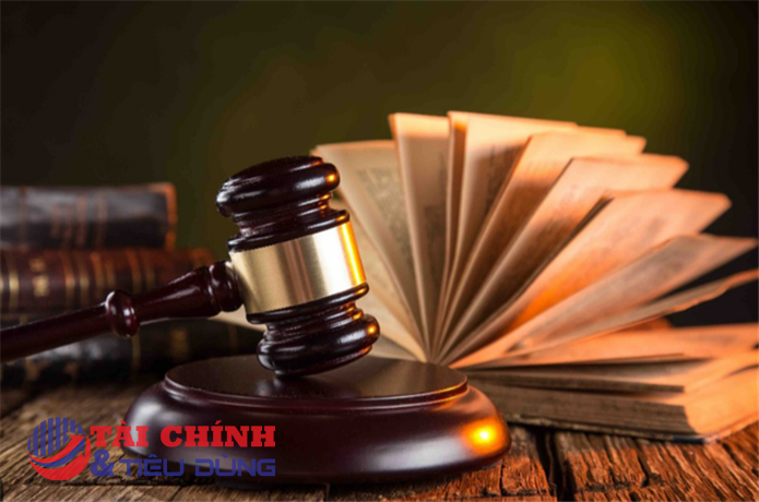 Xử phạt vi phạm hành chính đối với Công ty cổ phần Xuất nhập khẩu Bình Định